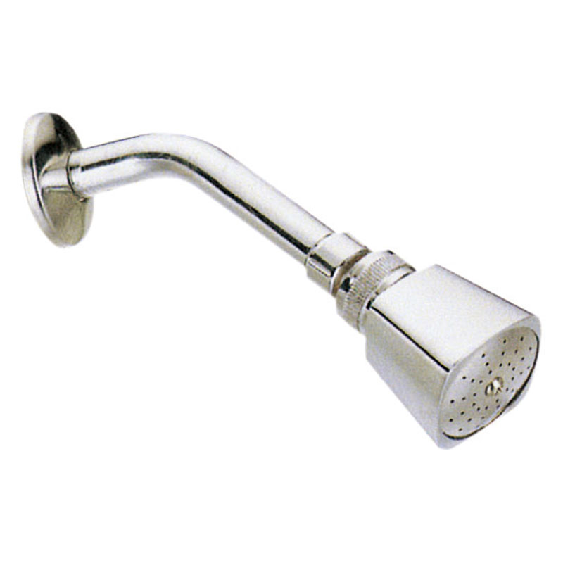 METAL SHOWER HEAD WITH METAL ARM AND FLANGE P8504A