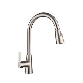 Single Handle Pull Down Sprayer Kitchen Faucet Chrome Plate F80099