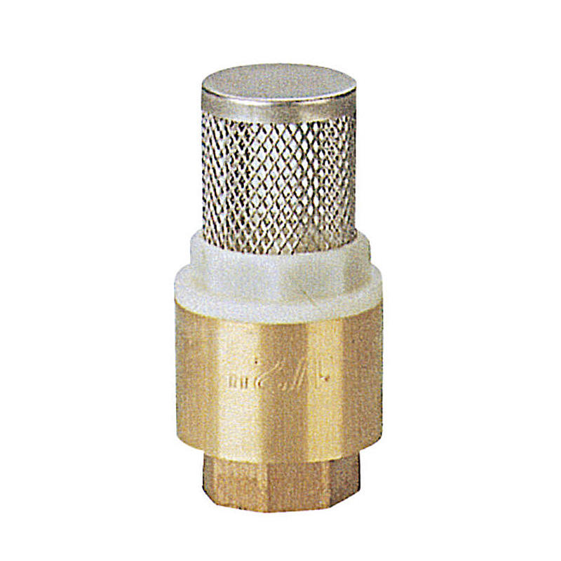 brass check valve vertical stainless filter for water pump  P6160-P6165